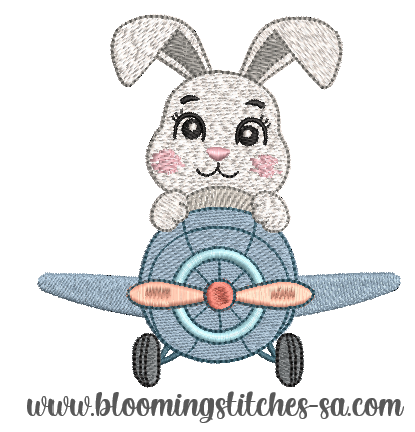 Bunny in Aeroplane 2