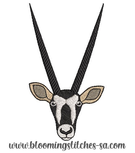 Gemsbok / Oryx Head