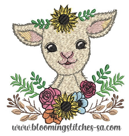 Sunflower Lamb