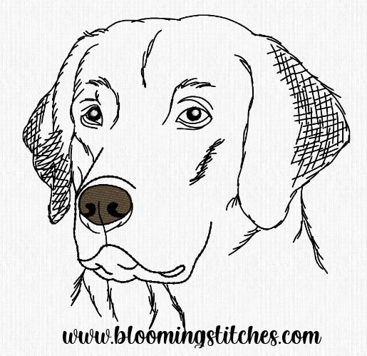 Labrador Dog Line Design