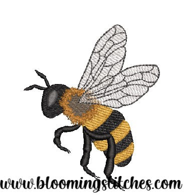 Honey Bee 5