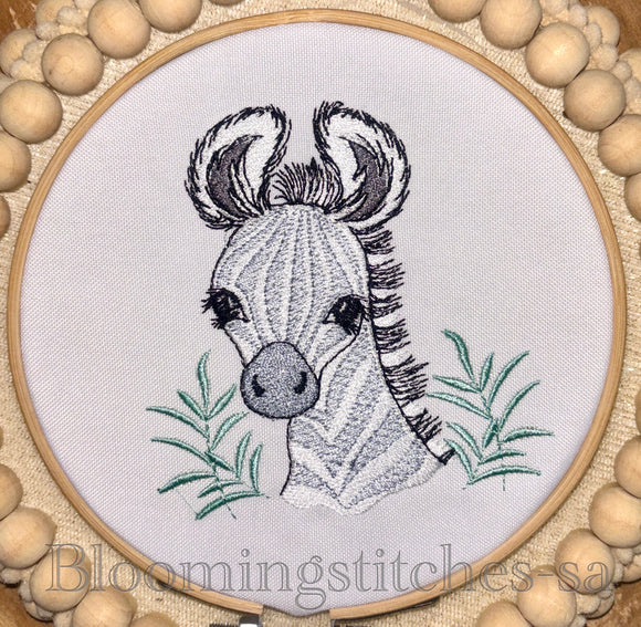 Safari Baby Zebra