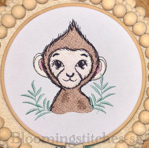 Safari Baby Monkey