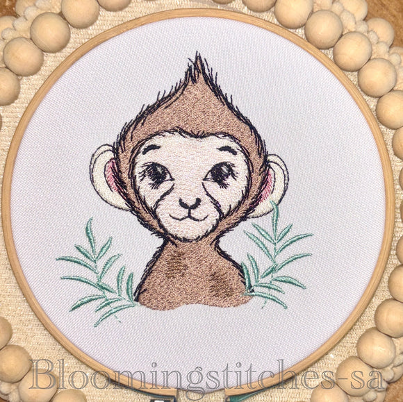 Safari Baby Monkey