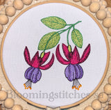 Floral Fuchsia wonder double