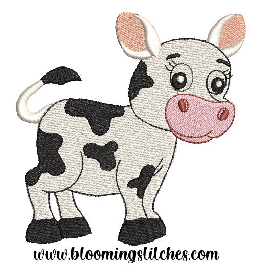 Bull Calf