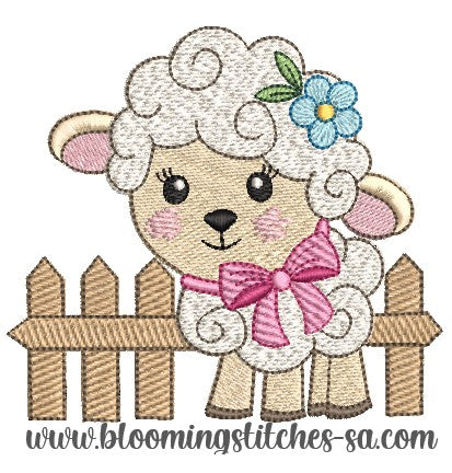 Curly Sheep 6