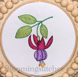 Floral Fuchsia Wonder single