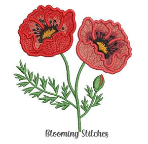 Poppy Double flowers with bud