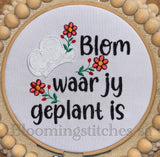 Kombuis Bewoording STEL 4