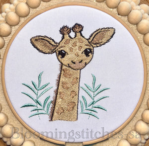 Safari Baby Giraffe