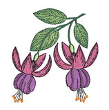 Floral Fuchsia wonder double