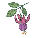 Floral Fuchsia Wonder single