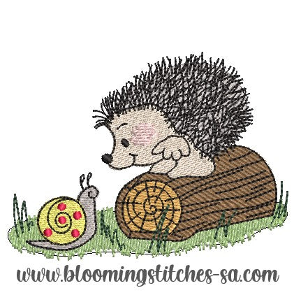 Hedgehog 8