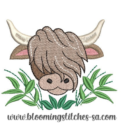 Highland Cow 11
