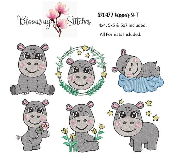 Hippopotamus SET