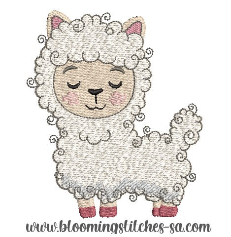 Llama Boy