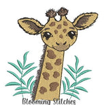 Safari Baby Giraffe