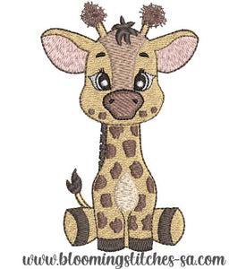 Safari Giraffe