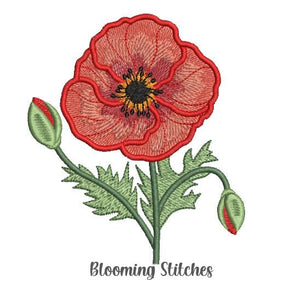 Poppy Single flower with bud