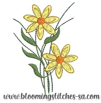 Yellow Star Grass Flower