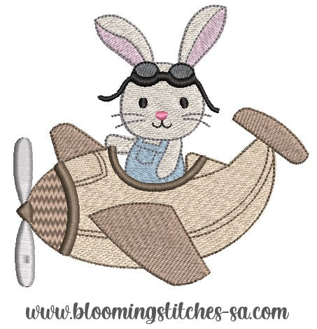 Bunny in Aeroplane