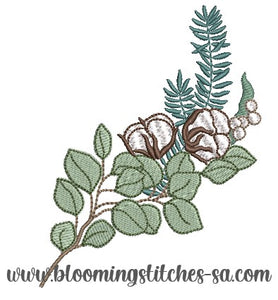Eucalyptus & Cotton 1