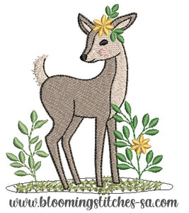 Deer