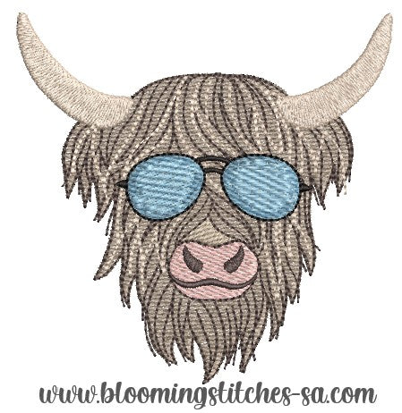 Highland Cow 2
