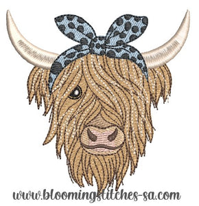Highland cow 3