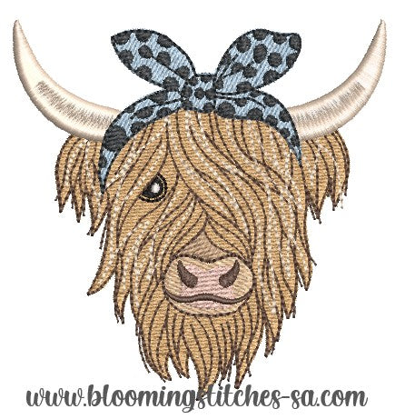 Highland cow 3