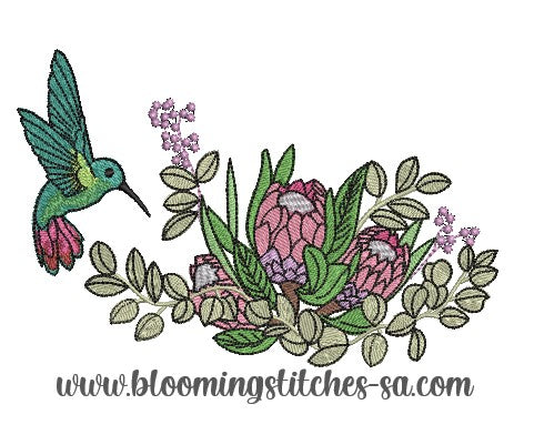 Hummingbird Floral