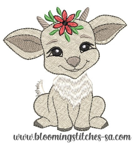 Little Goat