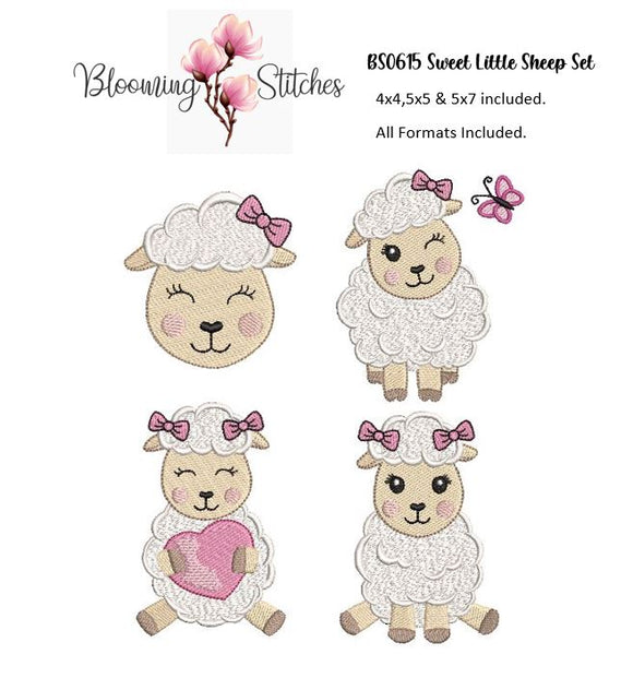 Sweet Little Sheep