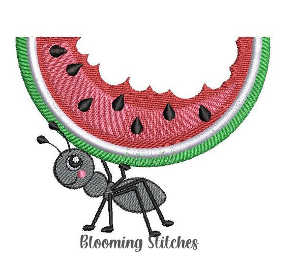 Watermelon Ant