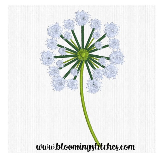 Single Dandelion 2