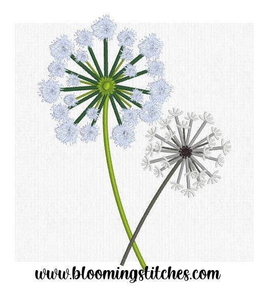 Double Dandelion 1