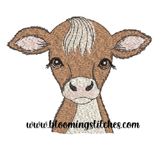 Baby Calf