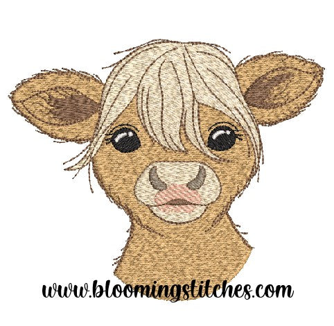 Jersey Cow