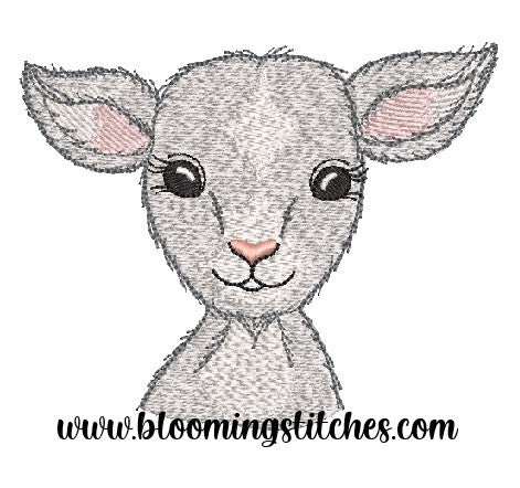 Lamb