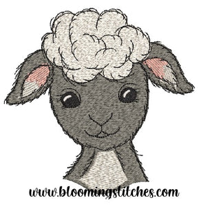 Sheep