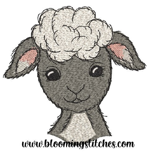Sheep